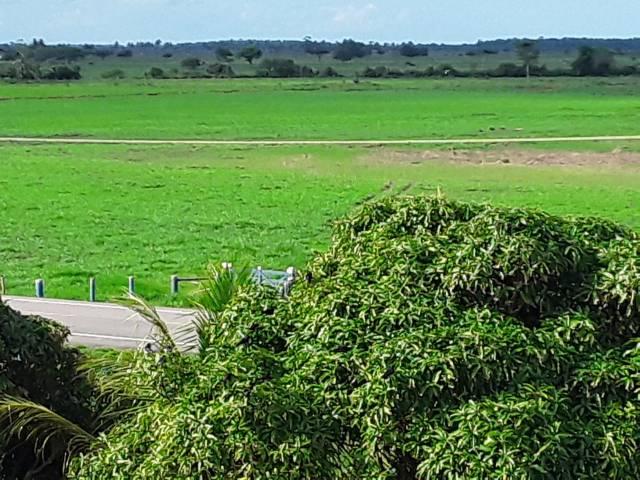 Fazenda 180 alqueires Linhares - Foto 3