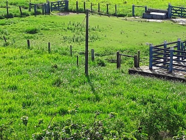 Fazenda 180 alqueires Linhares - Foto 12