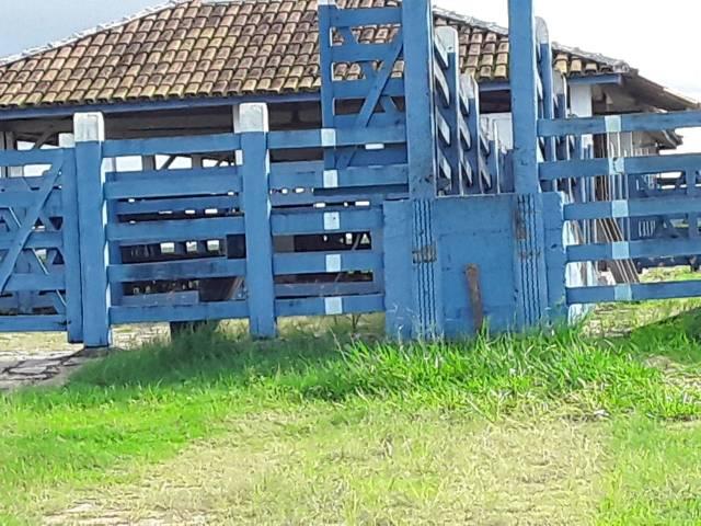 Fazenda 180 alqueires Linhares - Foto 7