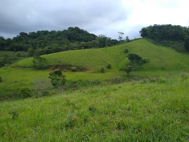 Fazendinha 15 alqueires Cariacica - Foto 15