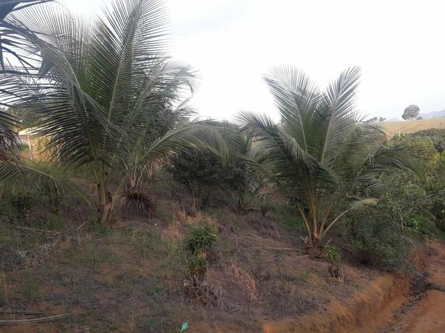 Vendo chácara na serra - Foto 7