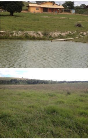 Fazenda 211 Hectares - Foto 3