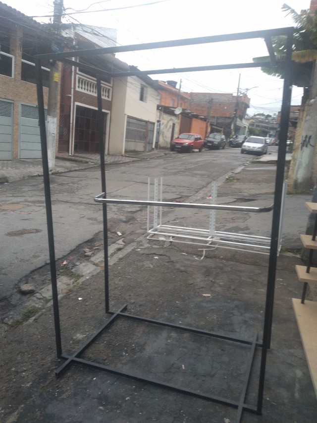 Arara capela  - Foto 5