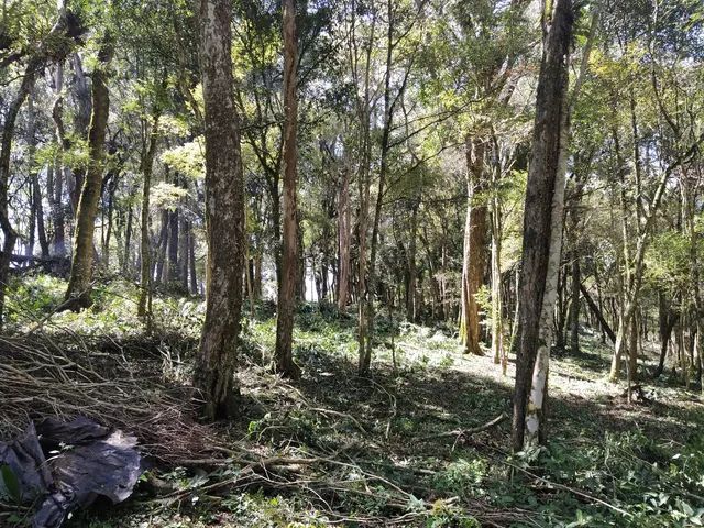 Sitio  da Eloisa - Foto 5