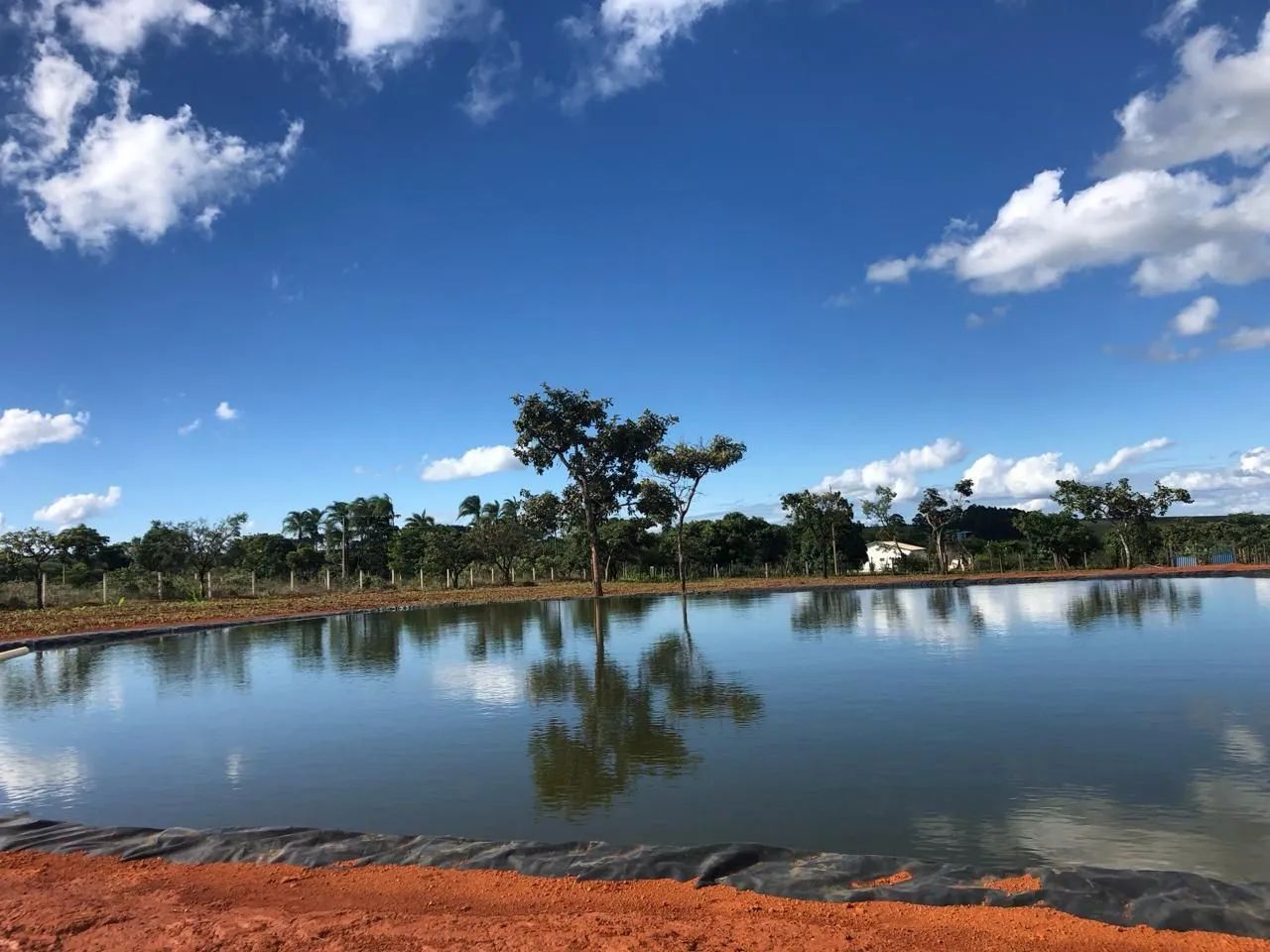 Excelente chácara 3,24 hect. c/ estrutura e formada para plantação! Direto c/ proprietário - Foto 6