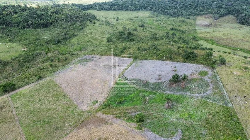 Fazenda completa em Flexeiras com ótima casa sede e 30 hectares - Foto 5