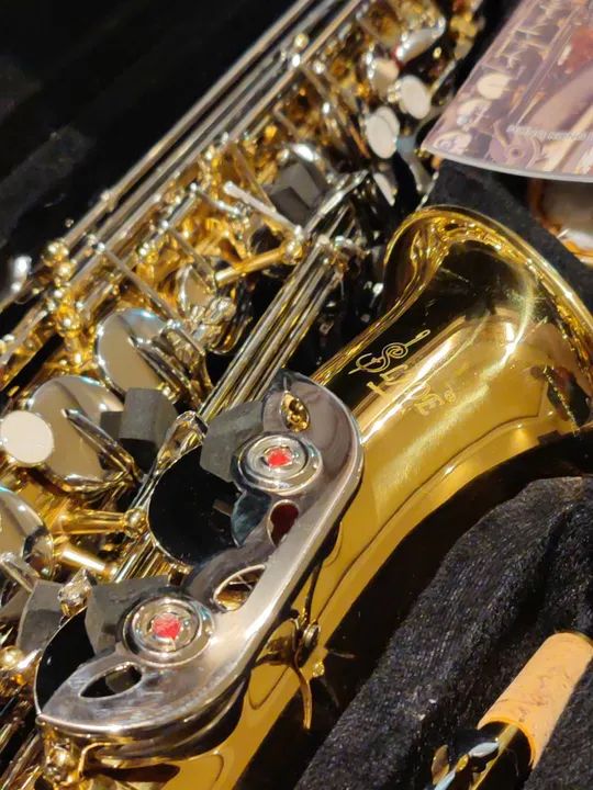 R$ 2.300,00 Sax Alto Novo Imbuí Salvador Bahia Brasil  - Foto 5