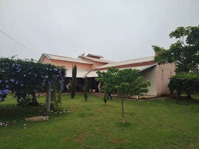 Fazenda 75 Alqueires - Dupla Aptidão  - Foto 2