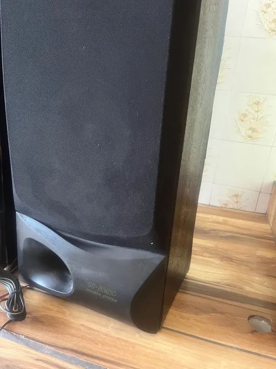 Par de caixas de som Sony - Foto 4