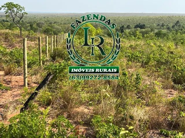 Fazenda 317 alqueires Plana - Foto 5