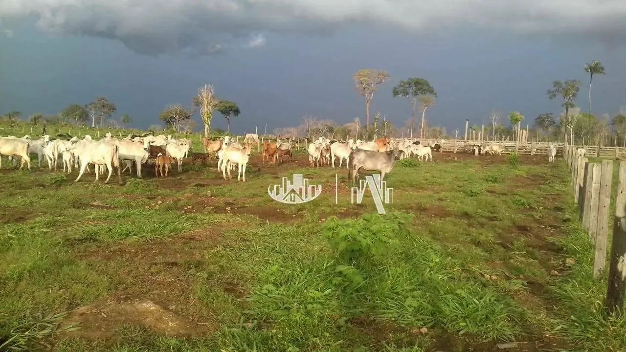 Fazenda à venda, 14520000 m² por R$ 18.200.000,00 - São Francisco - Óbidos/PA - Foto 8
