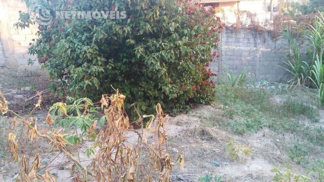 Venda Lote-Área-Terreno Ouro Preto Belo Horizonte - Foto 2