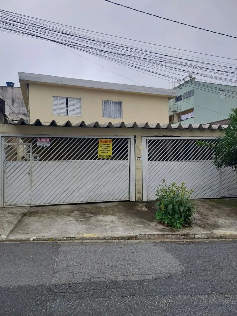 Foto - São Paulo - Jardim das Imbuias