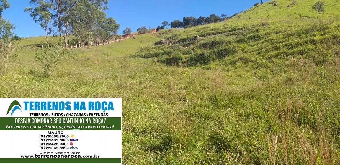 Terreno em Crucilândia / MG, 97 mil metros com mina e nascente todo formado - Foto 5
