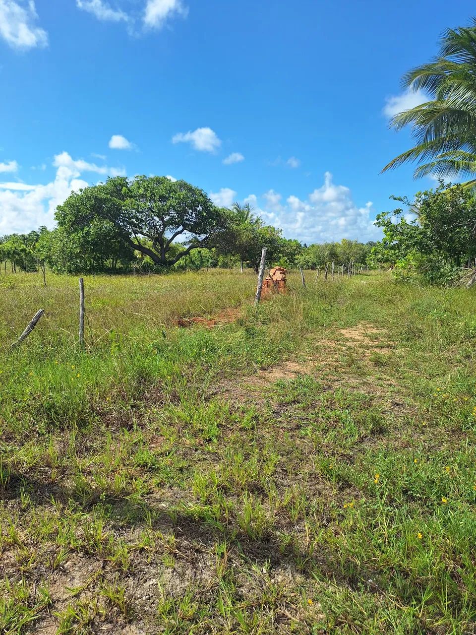 Vendo terreno Pirambu com 450m² - Foto 5