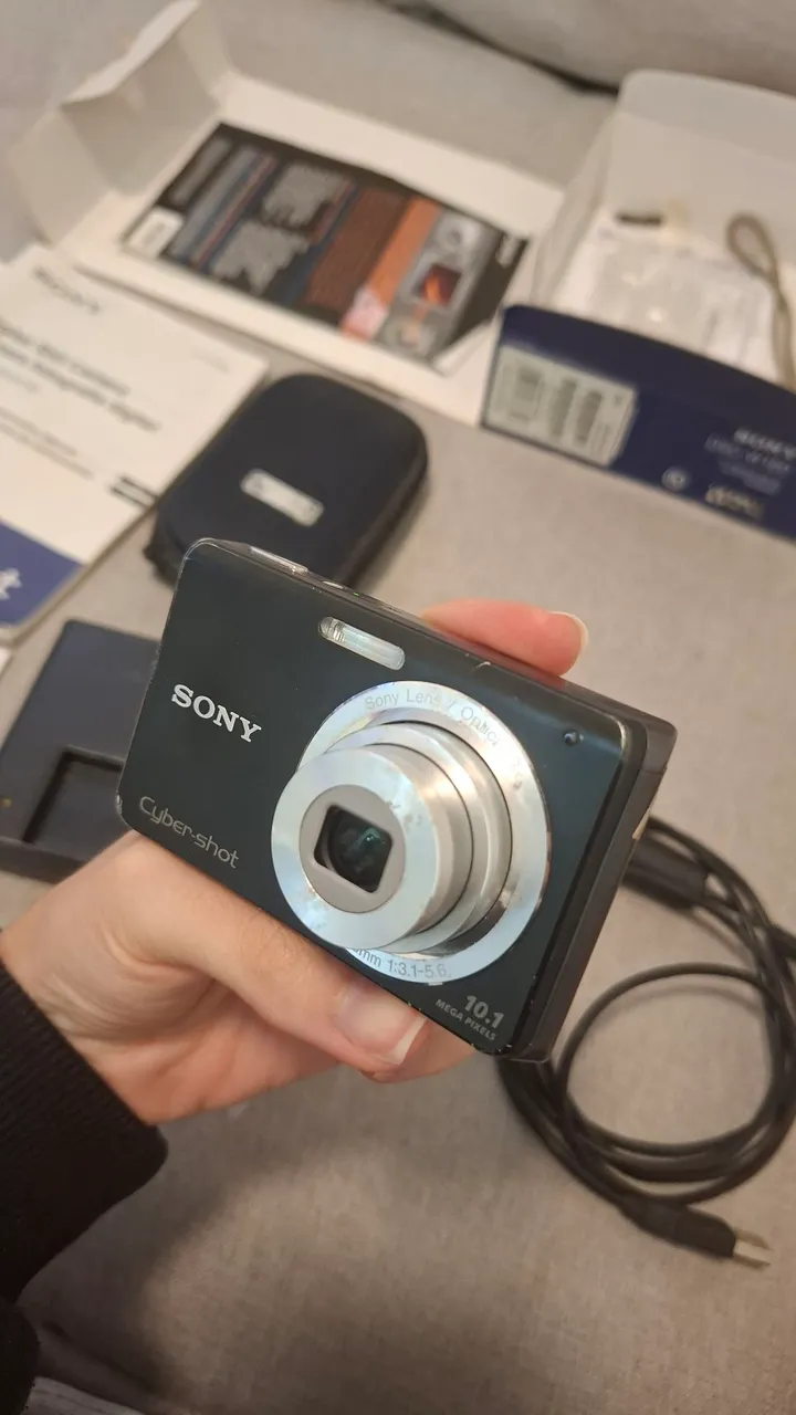 sony dsc wx100