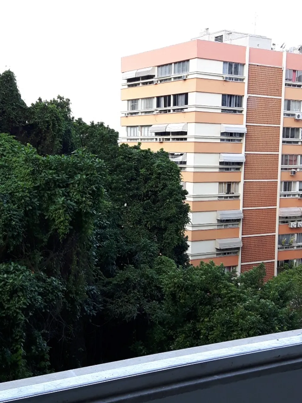 Apartamento/stúdio na rua das Laranjeiras