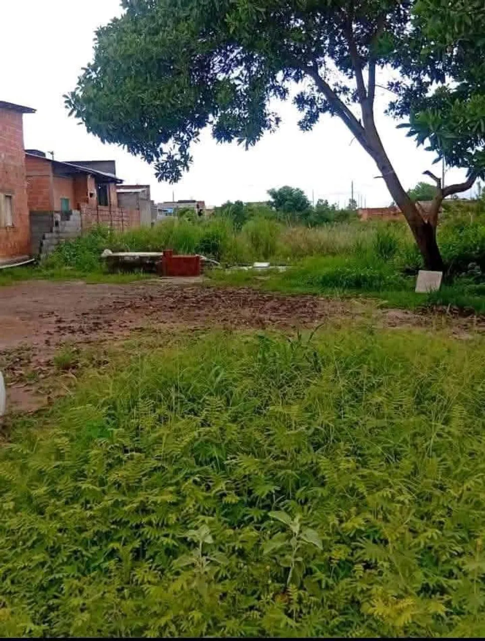 Vendo terreno