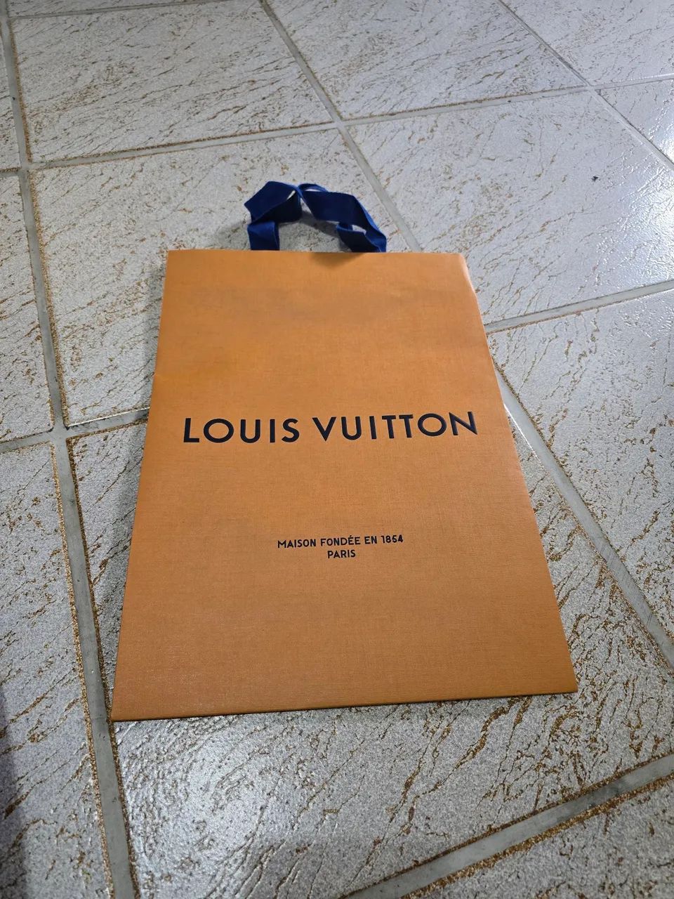 Sacola louis vuitton média 