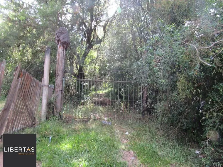 Área 53851,44 m² no Beco da Paixão Bairro Lomba do Pinheiro