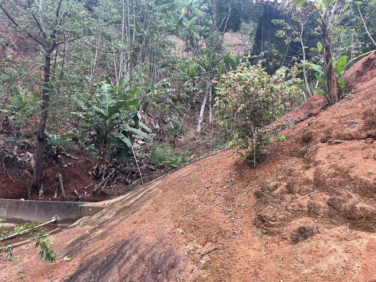 SÍTIO EM TODOS OS SANTOS - MARECHAL FLORIAMO - Foto 5