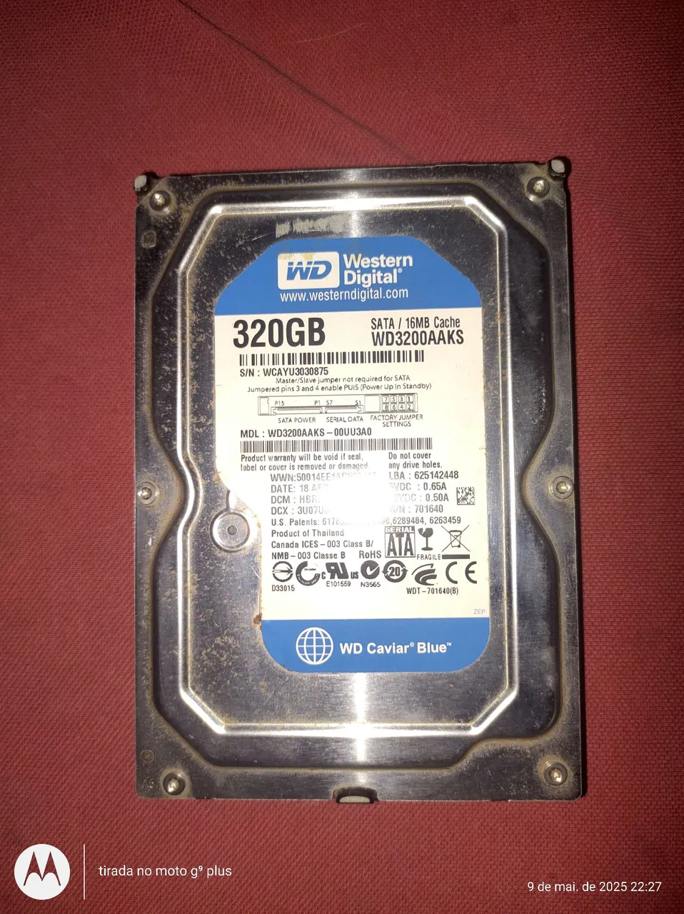 HD Western Digital 320GB SATA