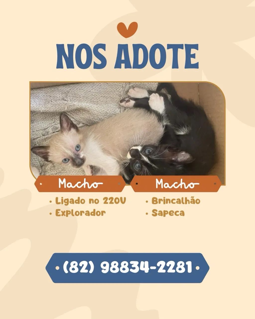 Adoção Responsável 