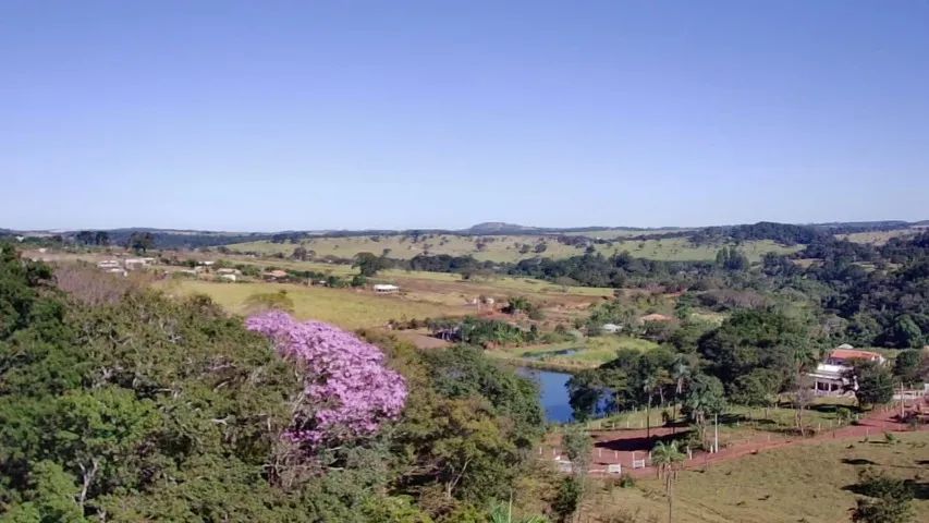 Vende-se Área rural em Bonfinópolis - Foto 5