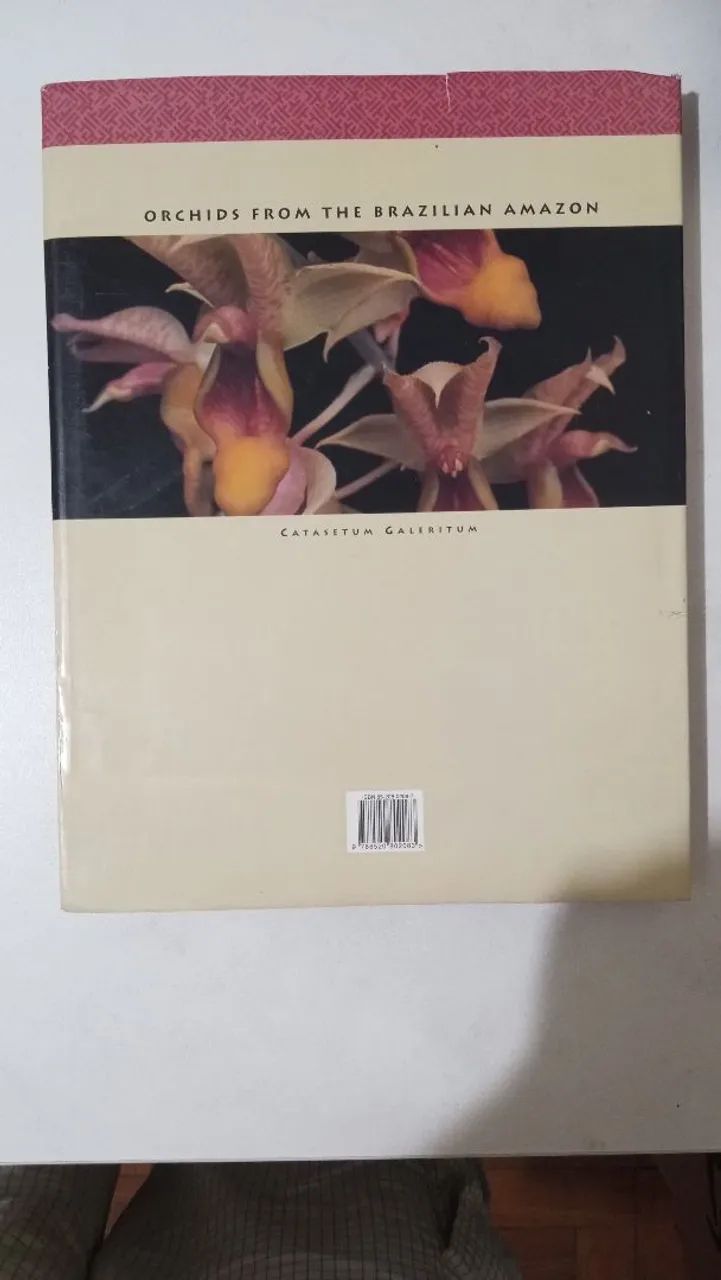 Orchids from the Brazilian amazon - Foto 2