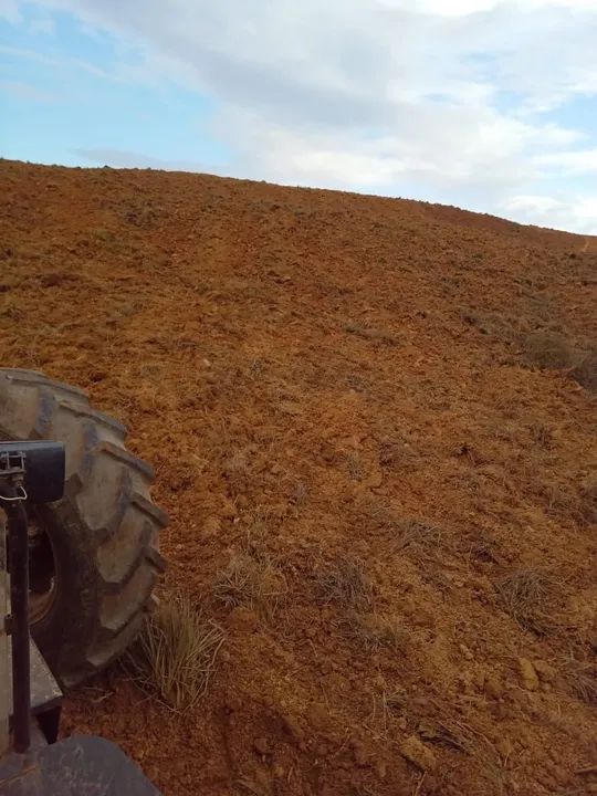 ARRENDO 10HEC PRA GADO OU IRRIGAÇÃO, EM LAGAMAR!! - Foto 6
