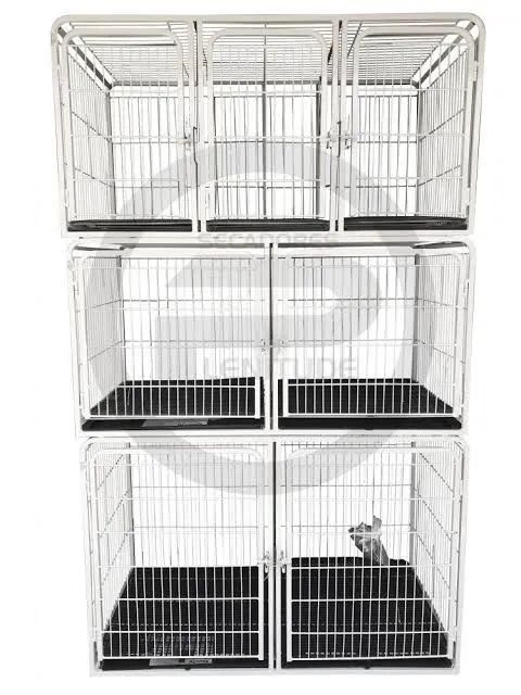 Canil modular pet shop