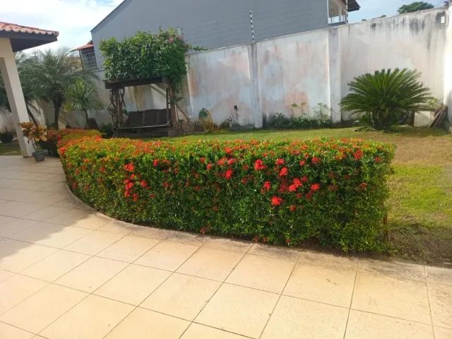 Serviços de jardinagem e roçagem em geral  - Foto 2