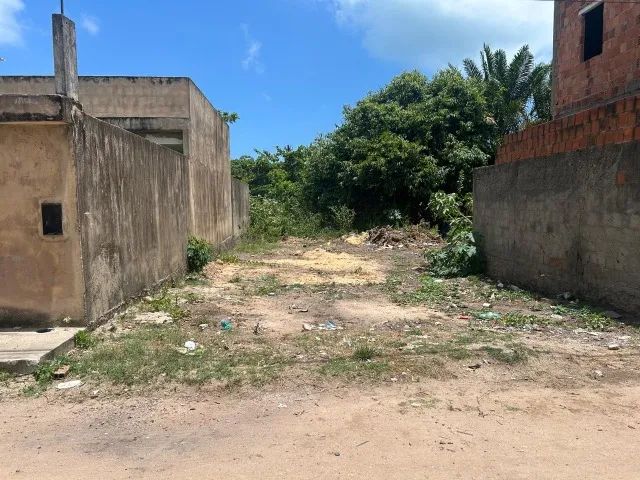 TERRENO SÃO JOSÉ DA COROA GRANDE/PE - Foto 3