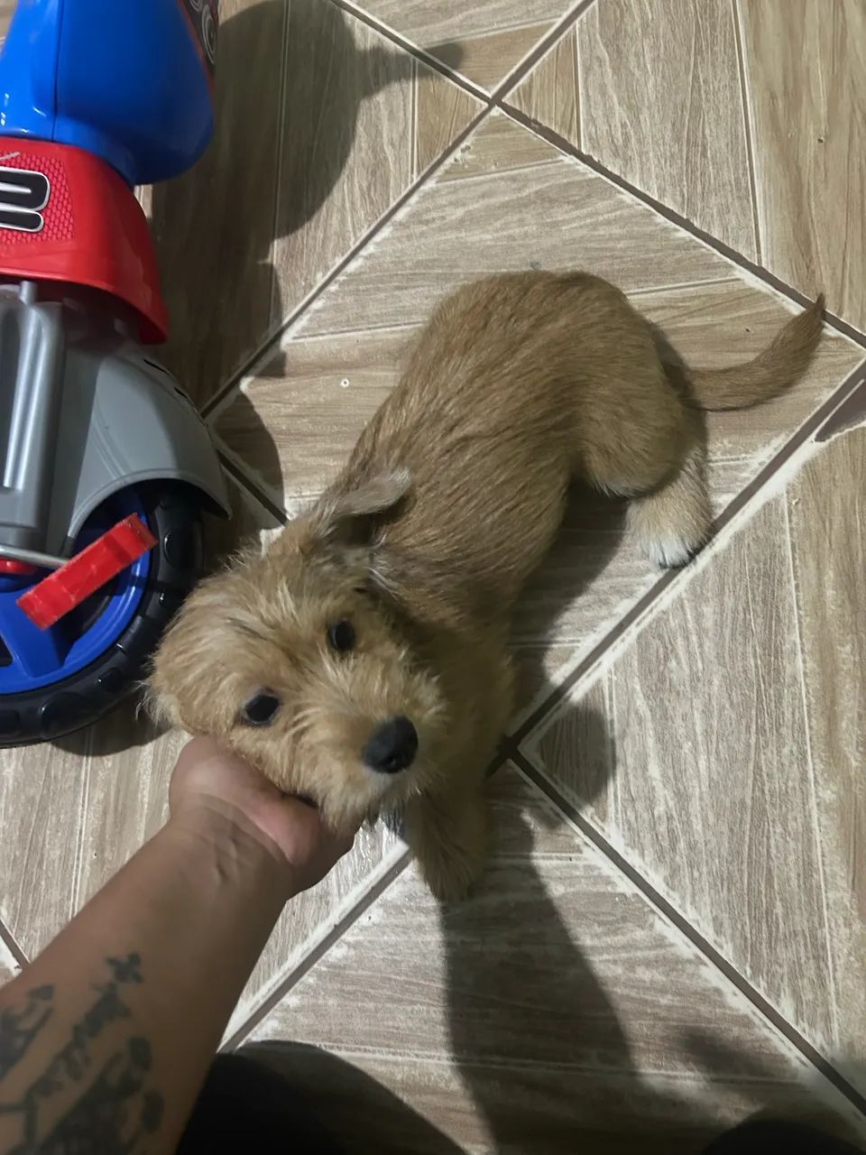 Doação 