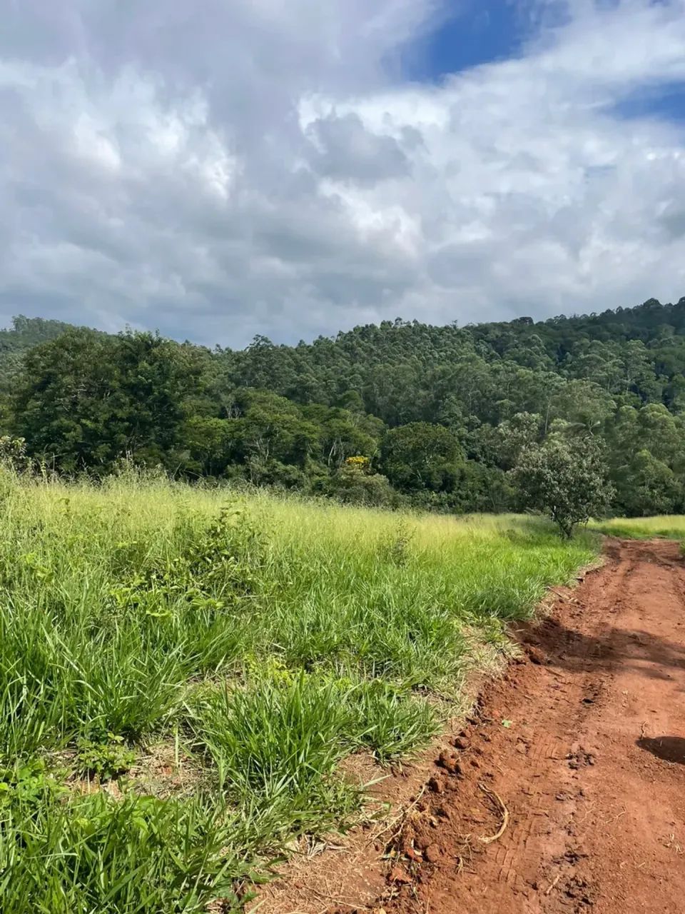 He Lotes planos, fácil Negociação! 600m² - Foto 3