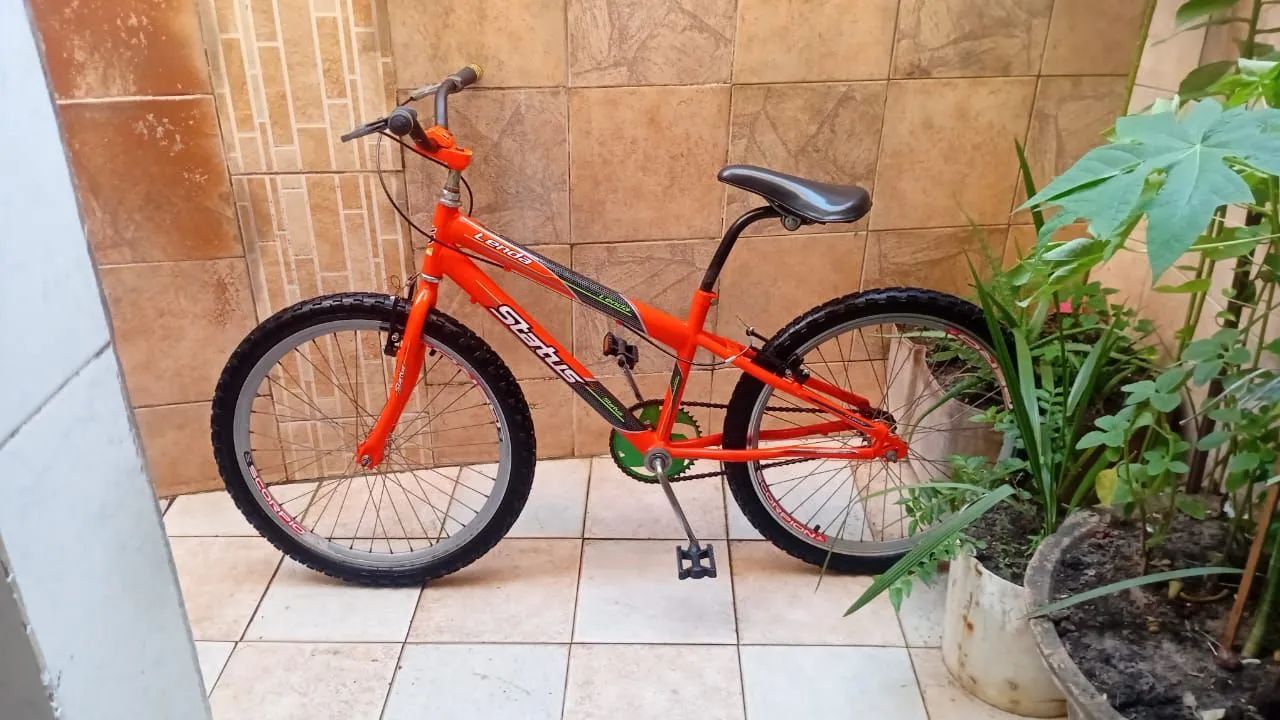 Bicicleta 