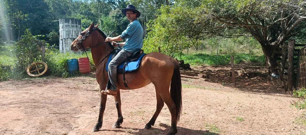 Vende se uma égua mansa de arreio.... - Foto 3