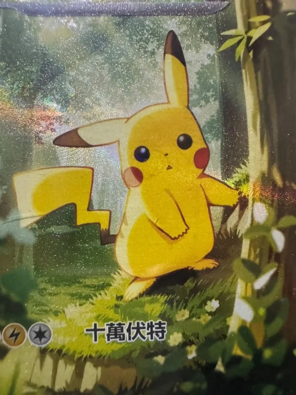 Cards Pokemon Pikachu EX 764/742 Chines PSA10  - Foto 3