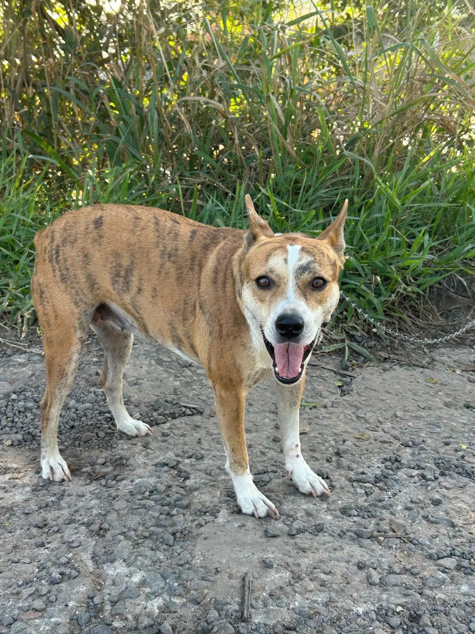 Doação 