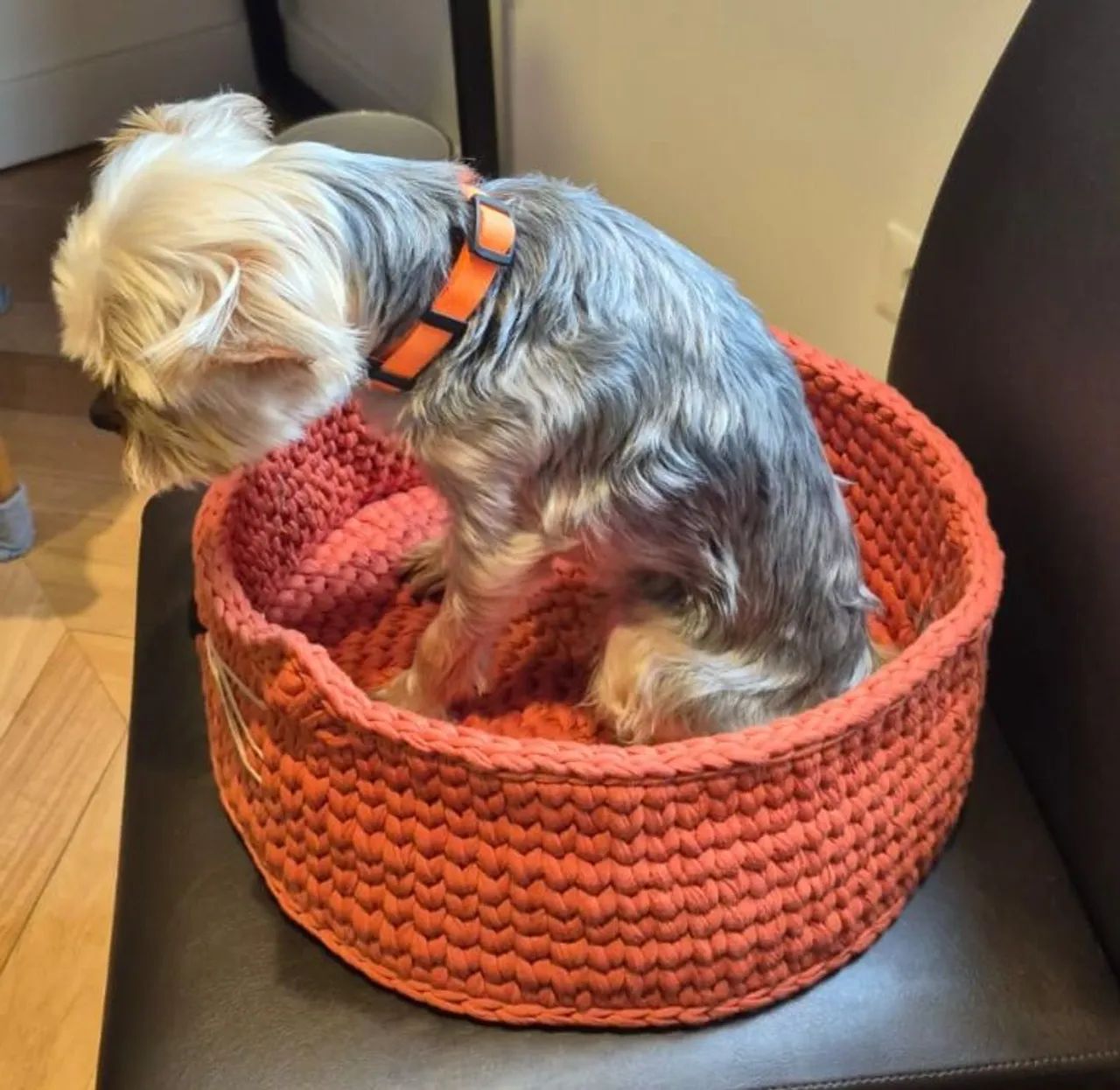 Cama para gatos de crochê fio de malha  - Foto 3