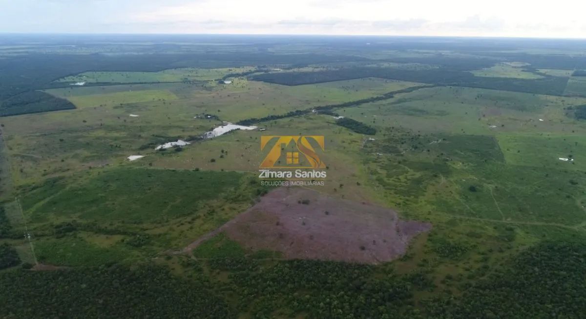 Fazenda, 276,5 alqueires - Zona Rural - Santa Rita/TO - Foto 5