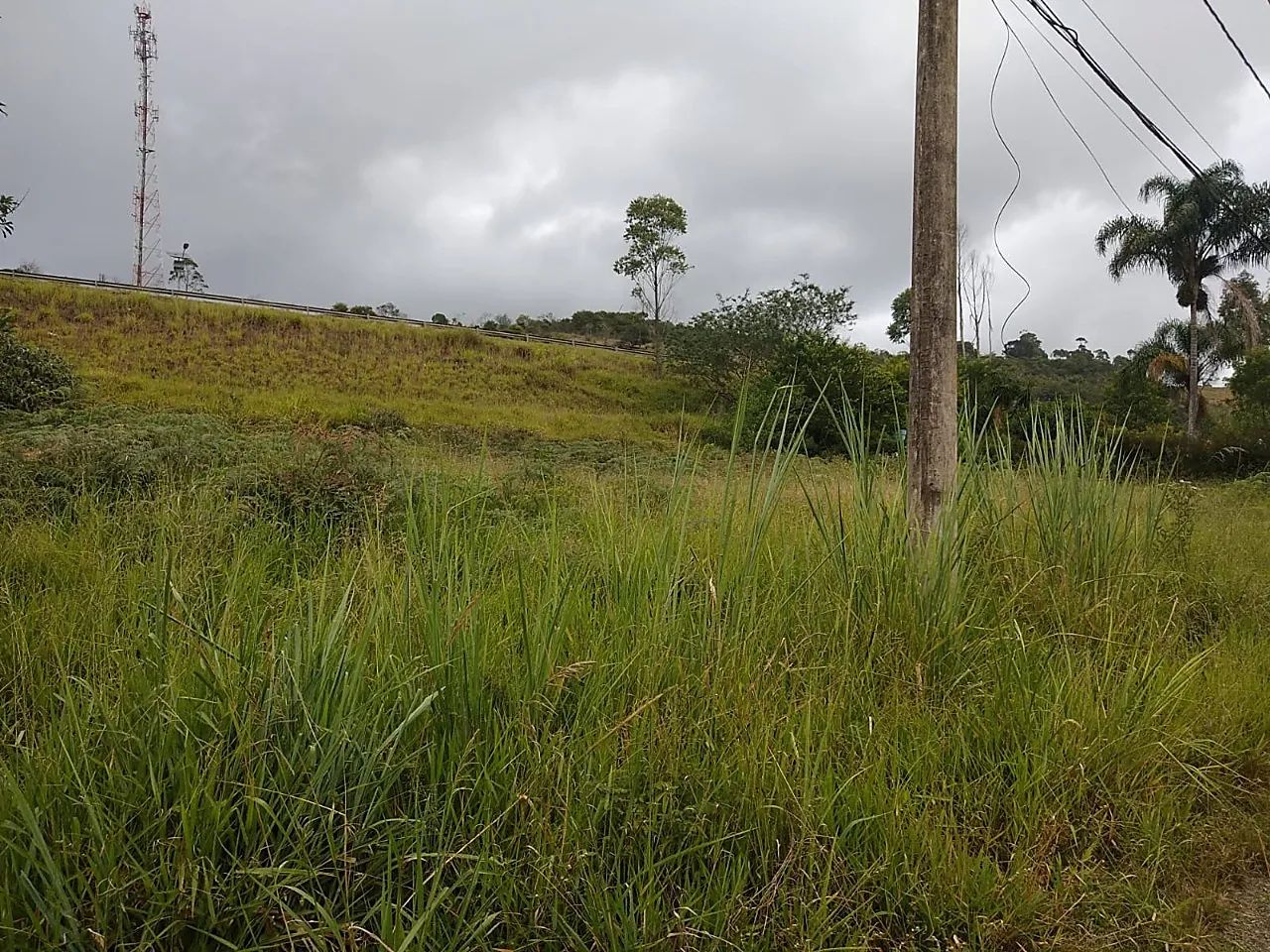 Lote / Terreno - São Pedro - Foto 3