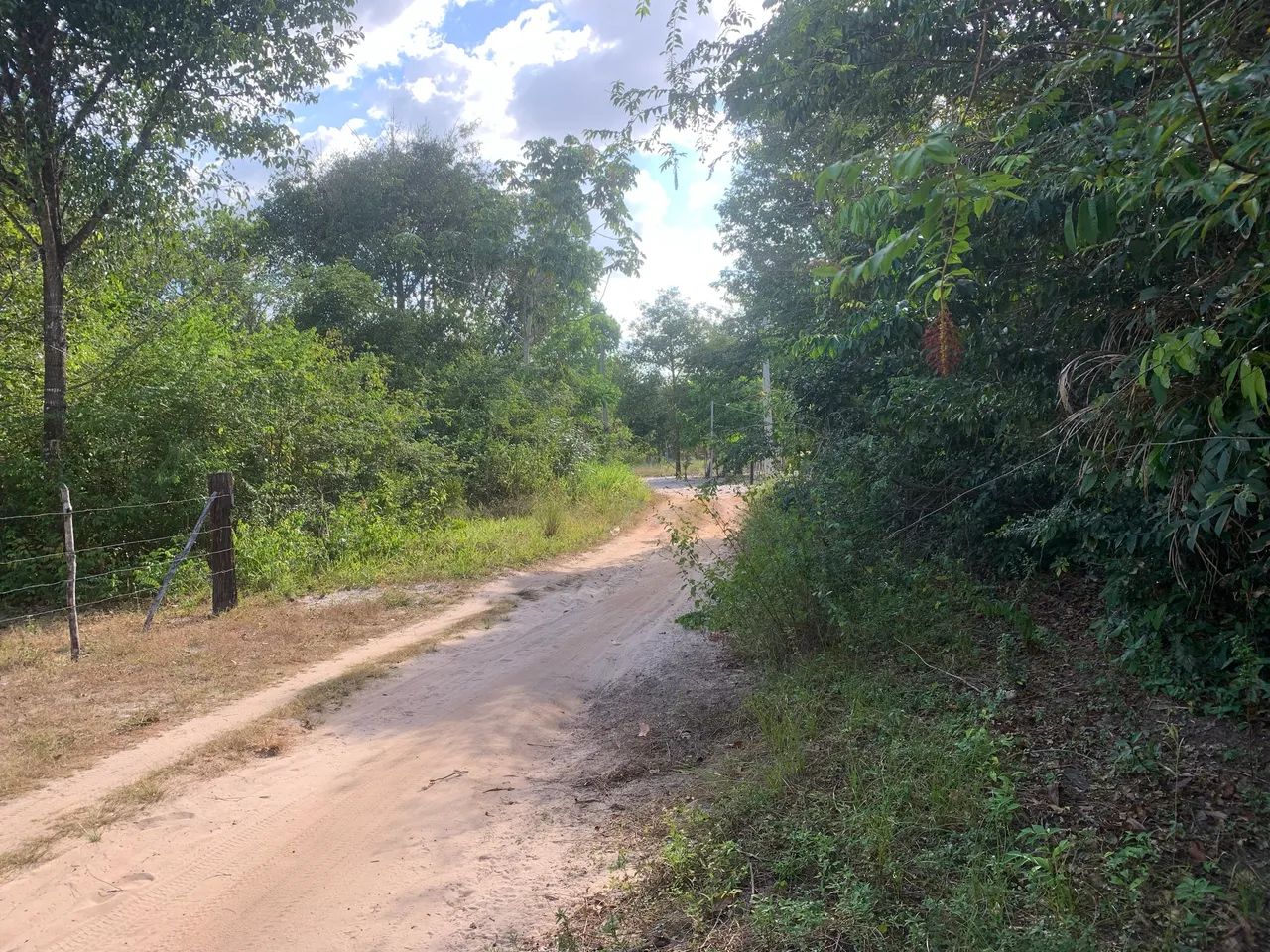 Vendo sítio ou troco, Aceito propostas. - Foto 4
