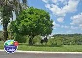 condomínio do lago, lote 552m2 - Foto 4