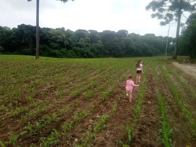OPORTUNIDADE! TERRENO PARA PROJETOS DE CHACARAS 