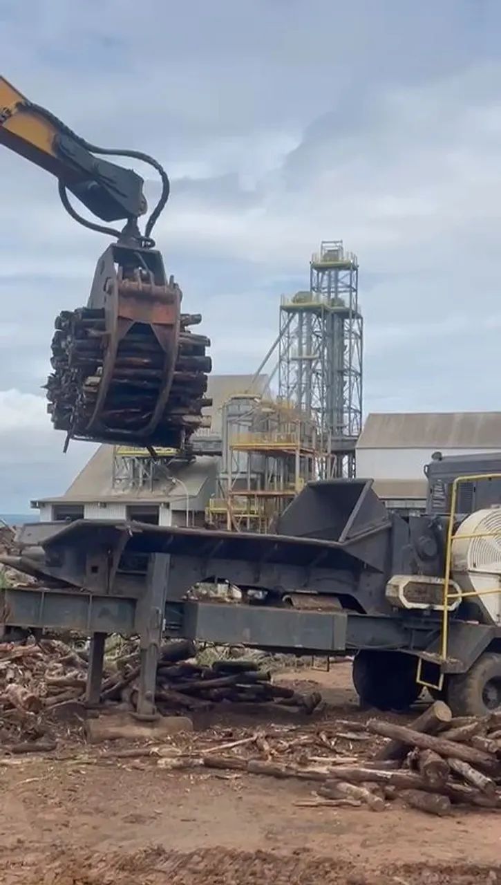 Grua florestal - Foto 5