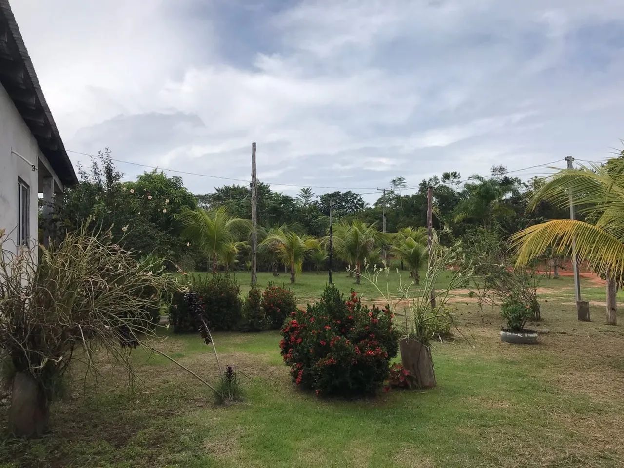 Terreno / sitio  - Foto 5