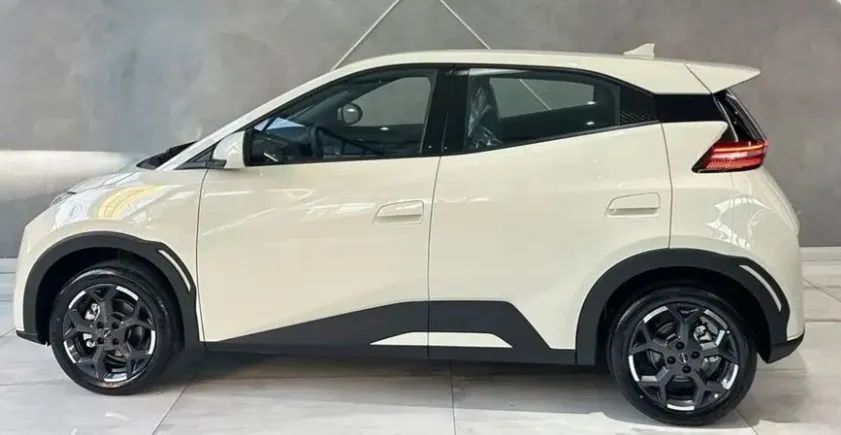 BYD Dolphin Mini (Elétrico) 2025 - Foto 2