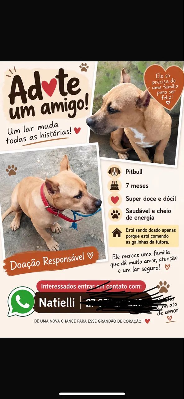 Doação 