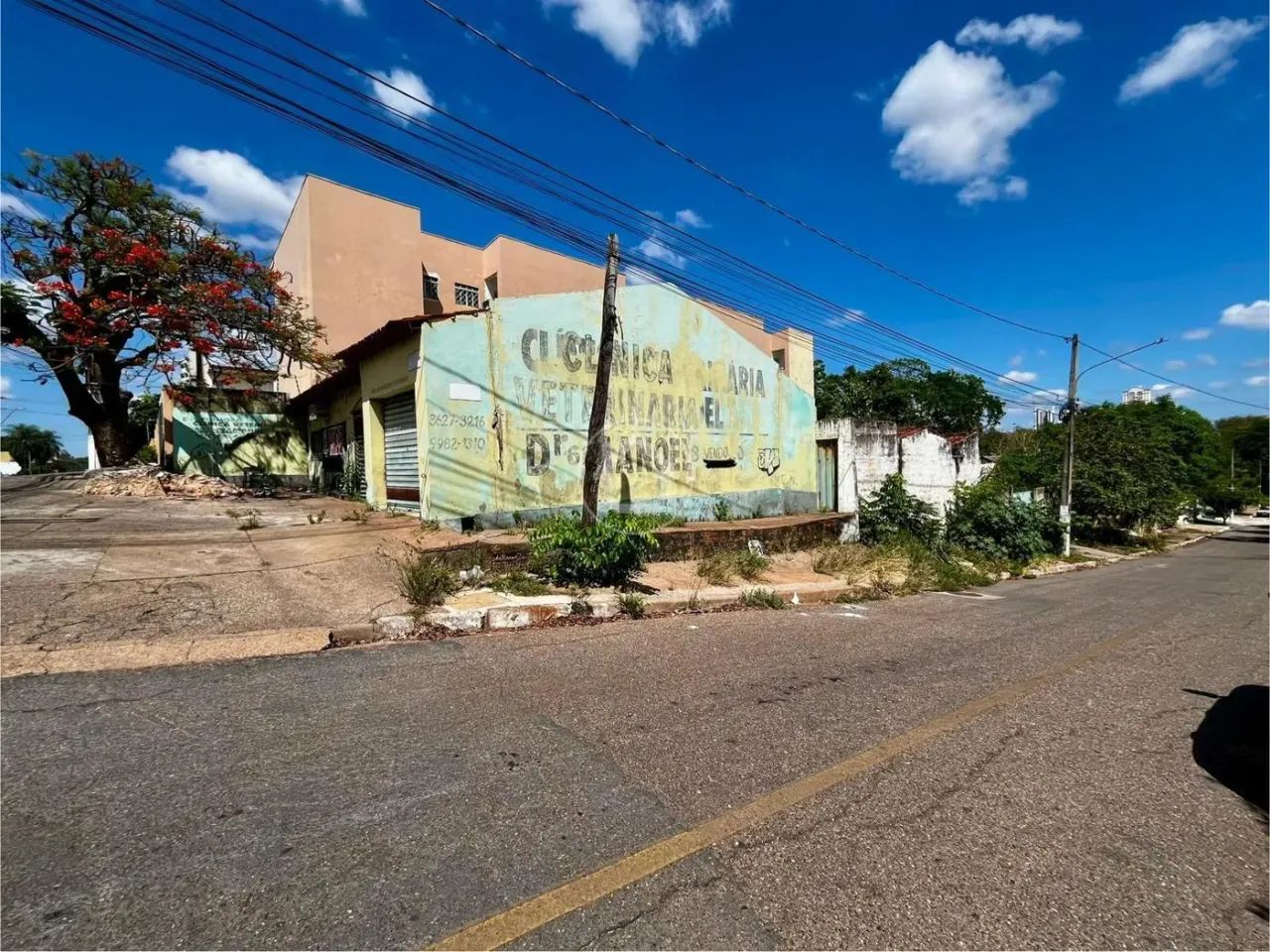 TERRENO - BOA ESPERANÇA - Foto 4